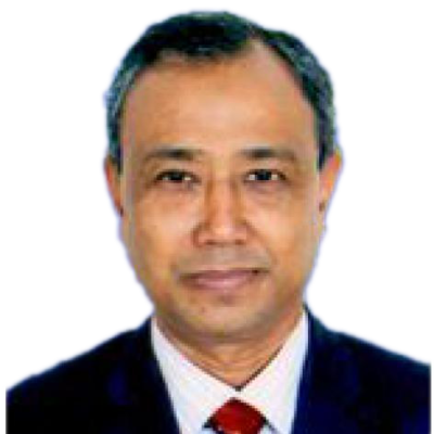 Professor. Dr. Md. Al Amin Mridha